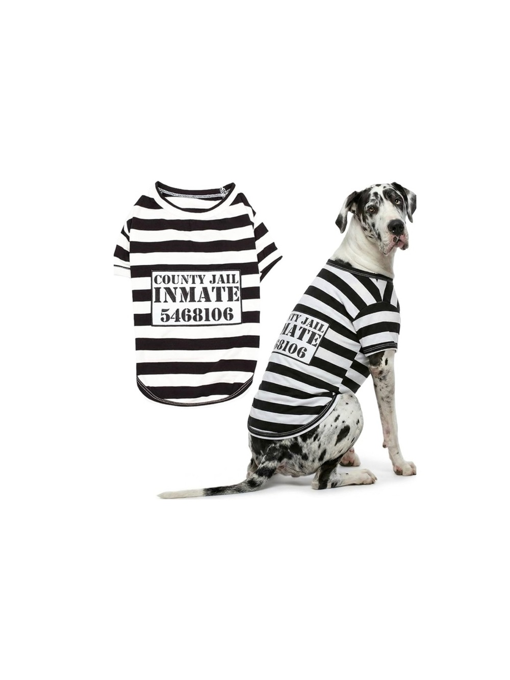 Halloween "County Jail Inmate" Dog Shirt - Fashionable Pet Tee Costume Size 5X